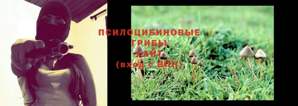 ешки Армянск