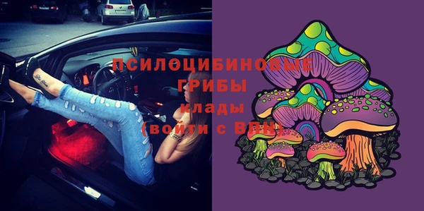 ешки Армянск