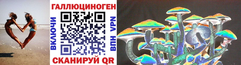 Псилоцибиновые грибы Cubensis  Купить закладки  Дудинка 